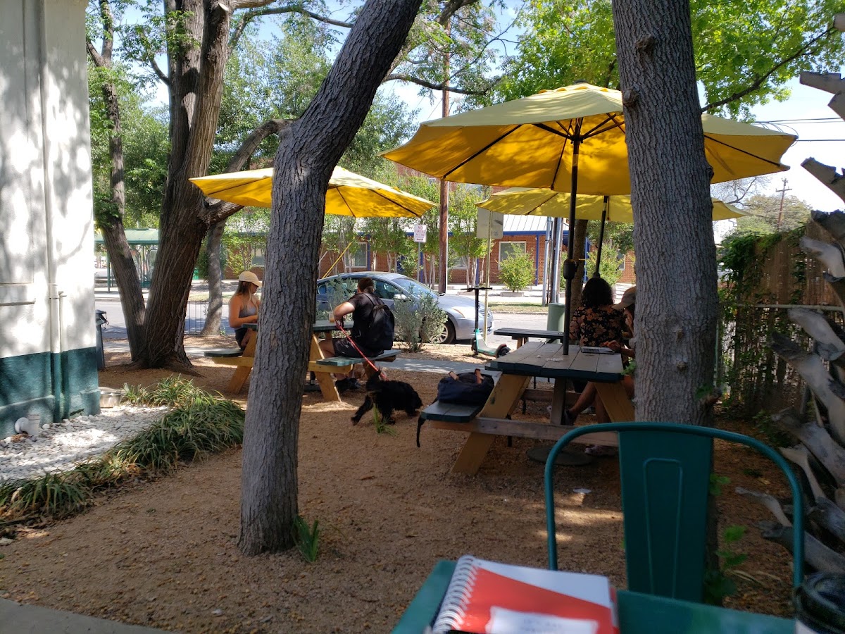 Stranded Coffee interior