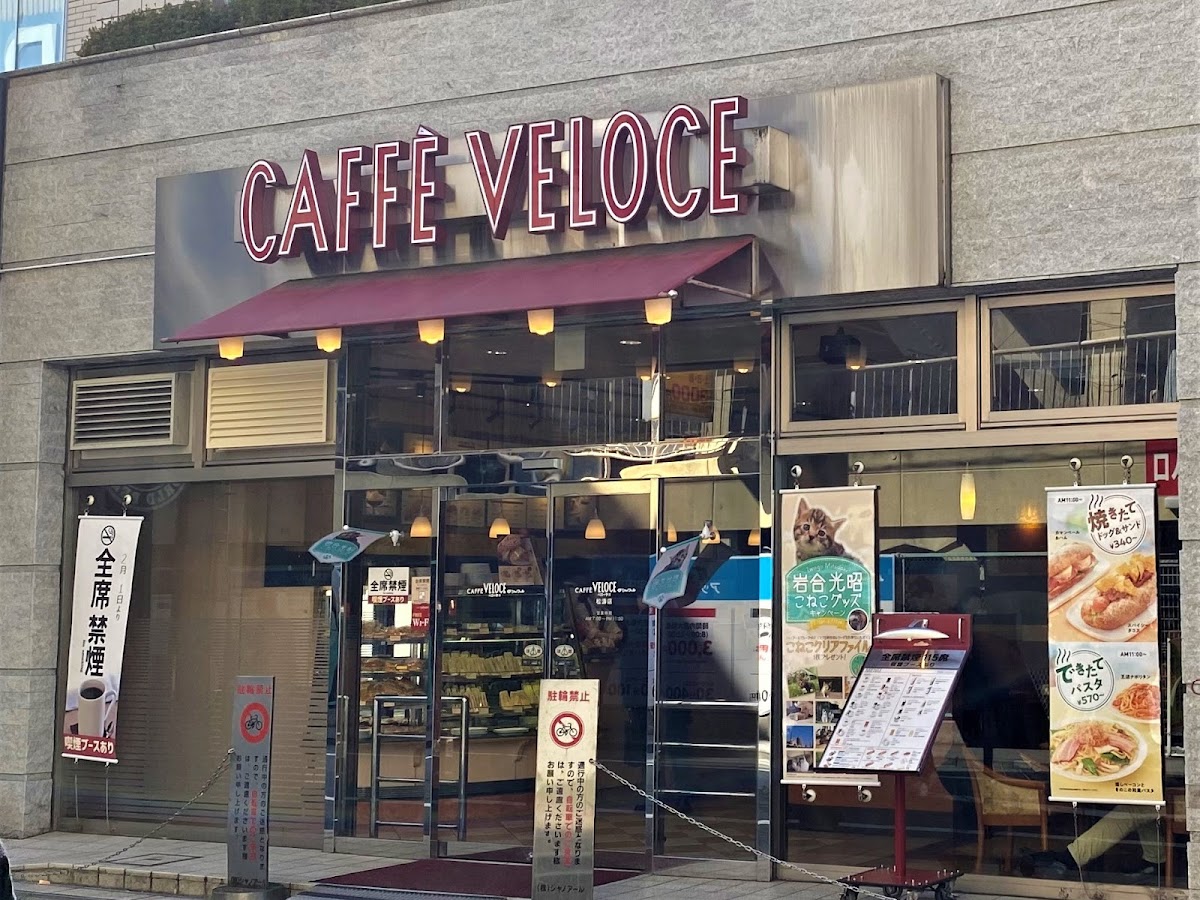 Cafe Veloce Shōtō shop interior