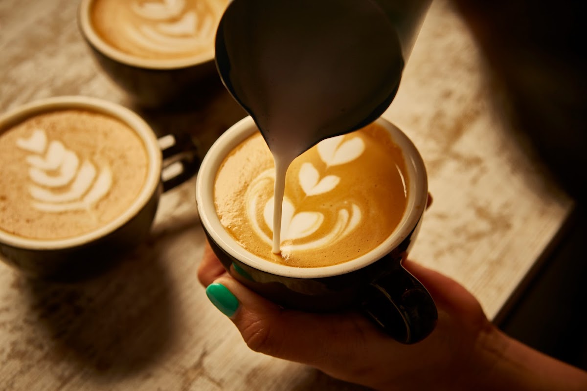 Photo of Oso Café