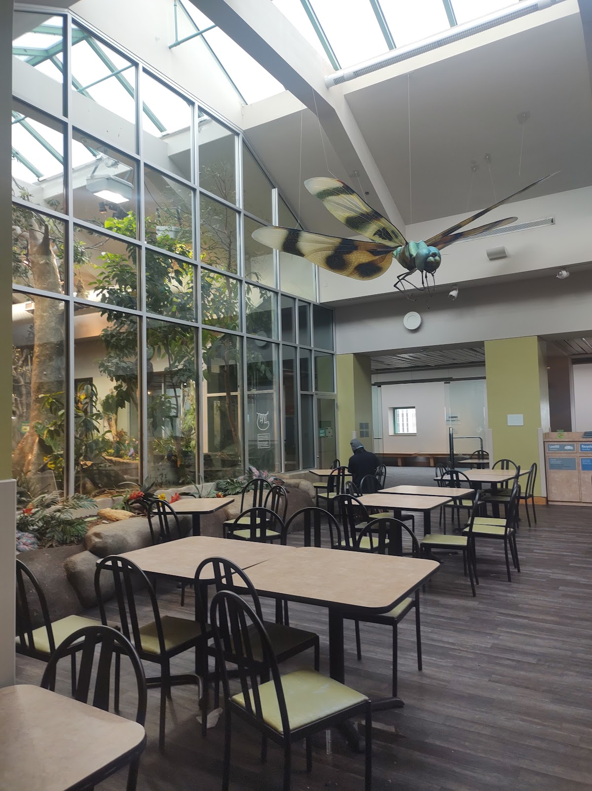 Photo of Acro Cafe