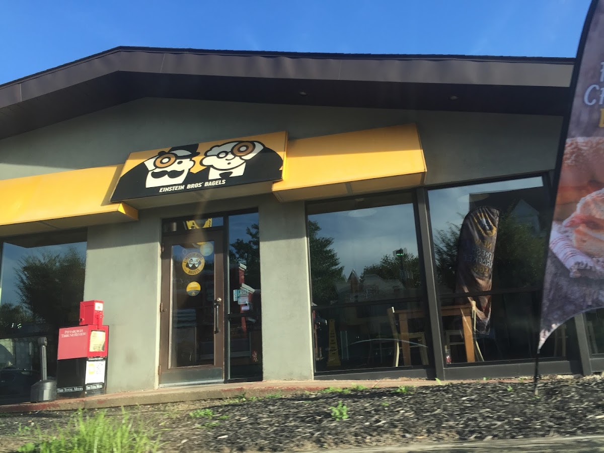 Einstein Bros. Bagels interior