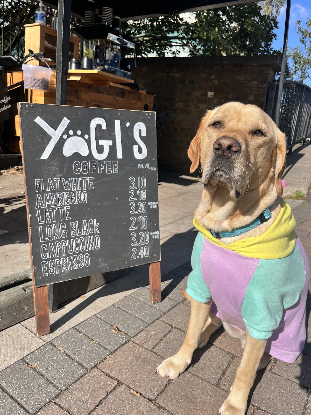 Yogi’s coffee interior