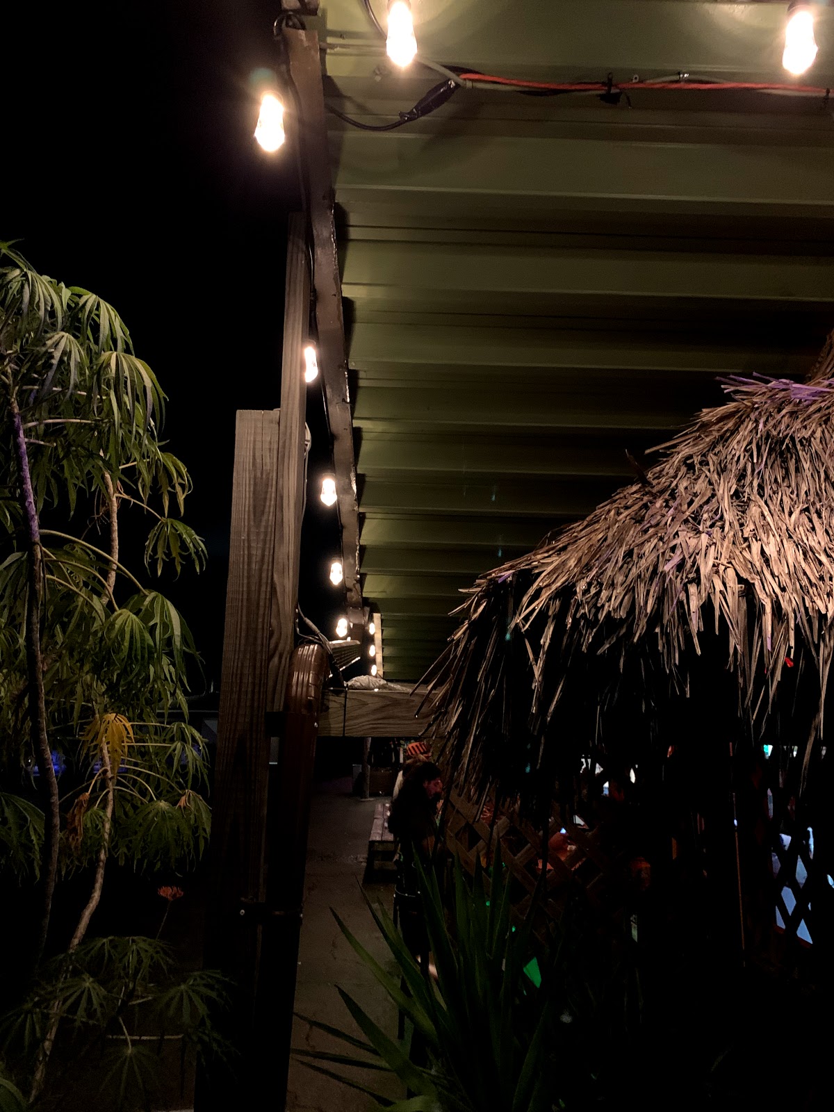 Bula Kava Bar interior