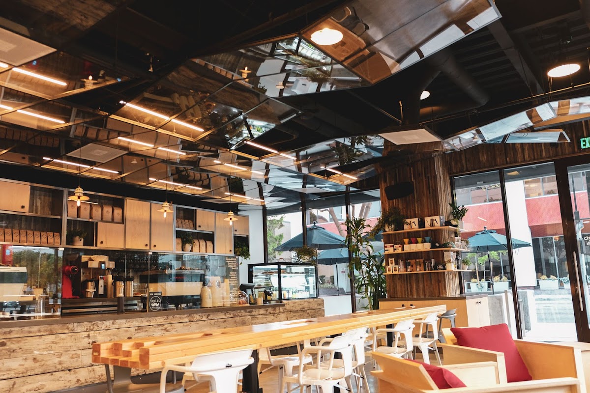 10 Speed Coffee interior