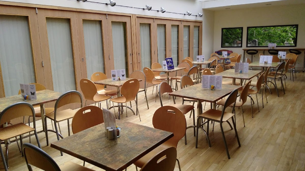 Butterflies Cafe interior