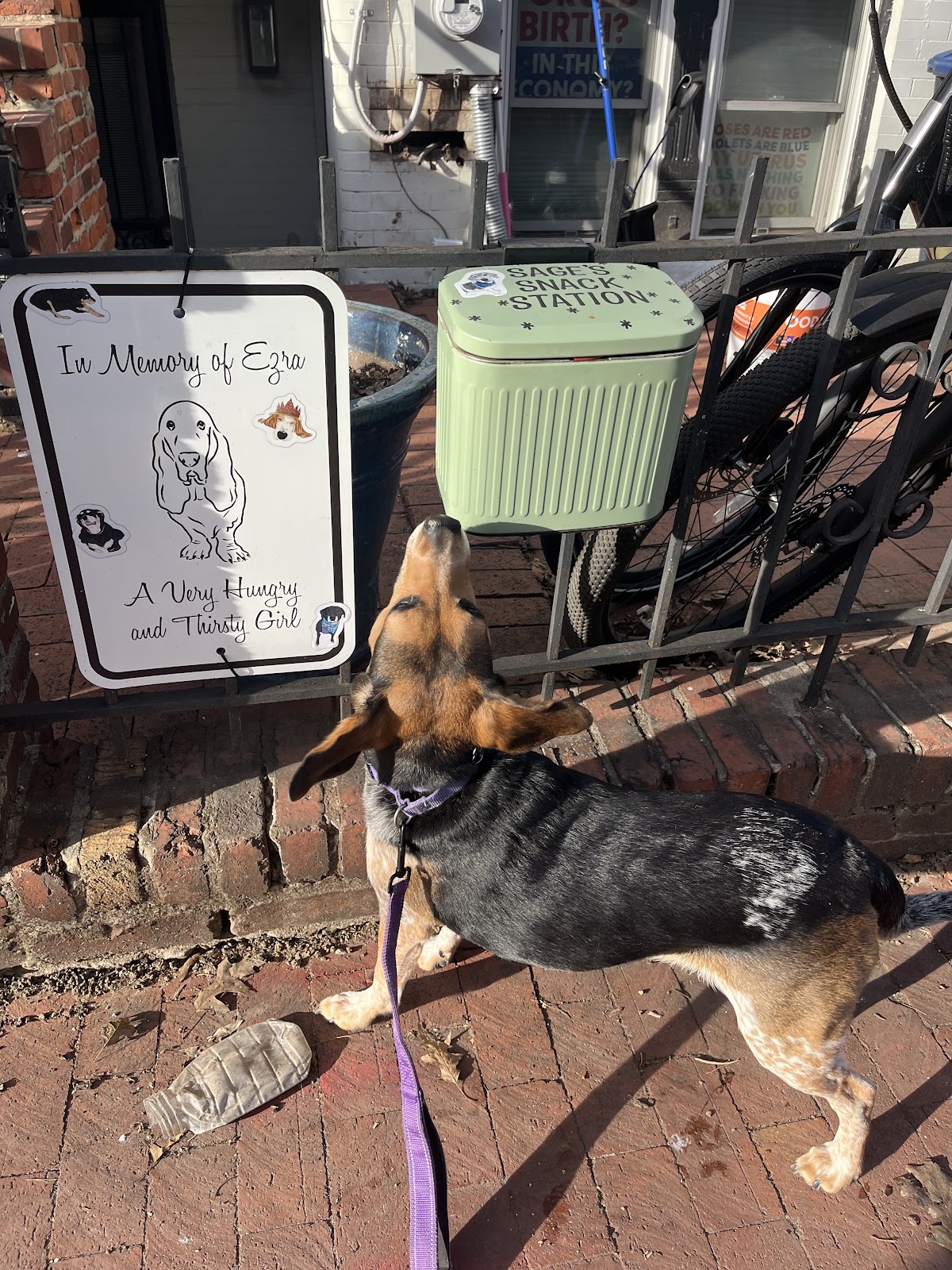 Photo of Sage’s Snack Station