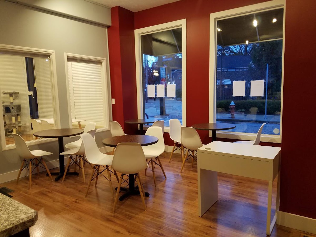 affoGATO Cat Cafe interior