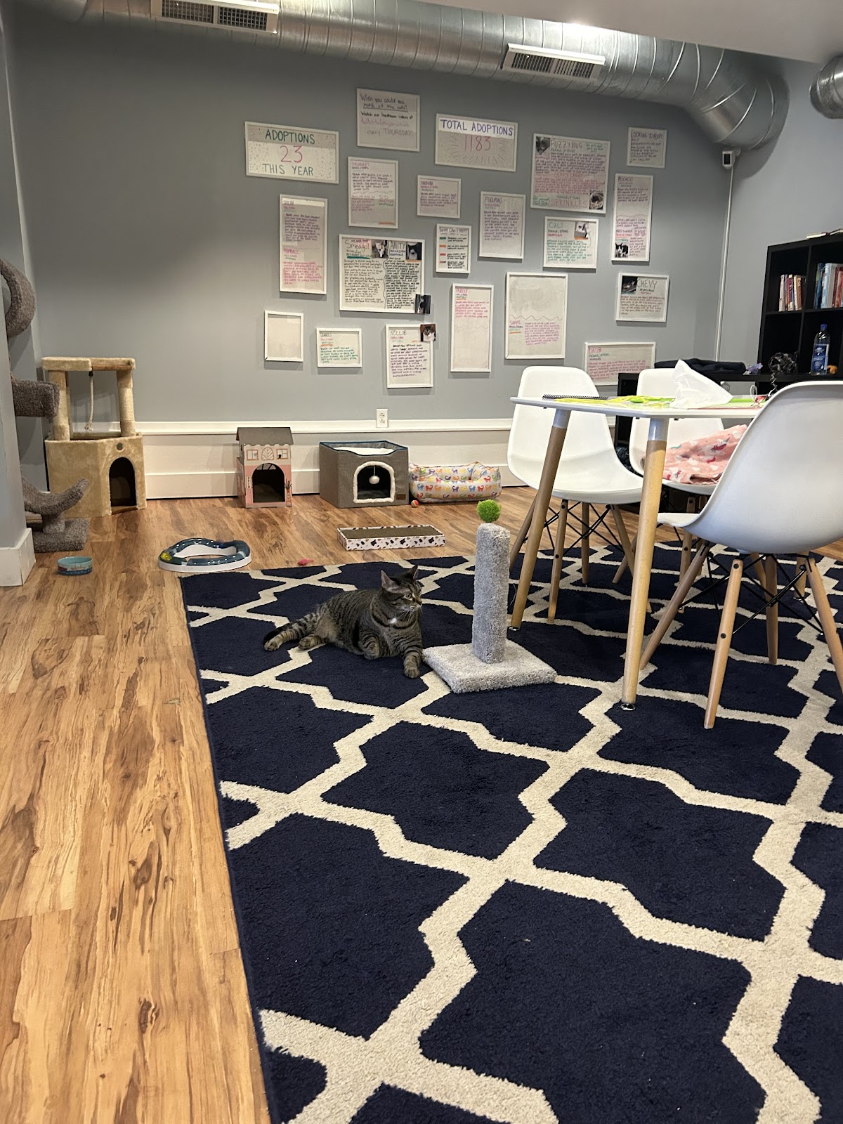 Photo of affoGATO Cat Cafe
