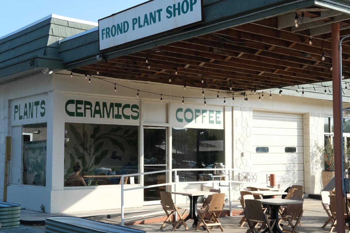 Desnudo Coffee: South Lamar interior
