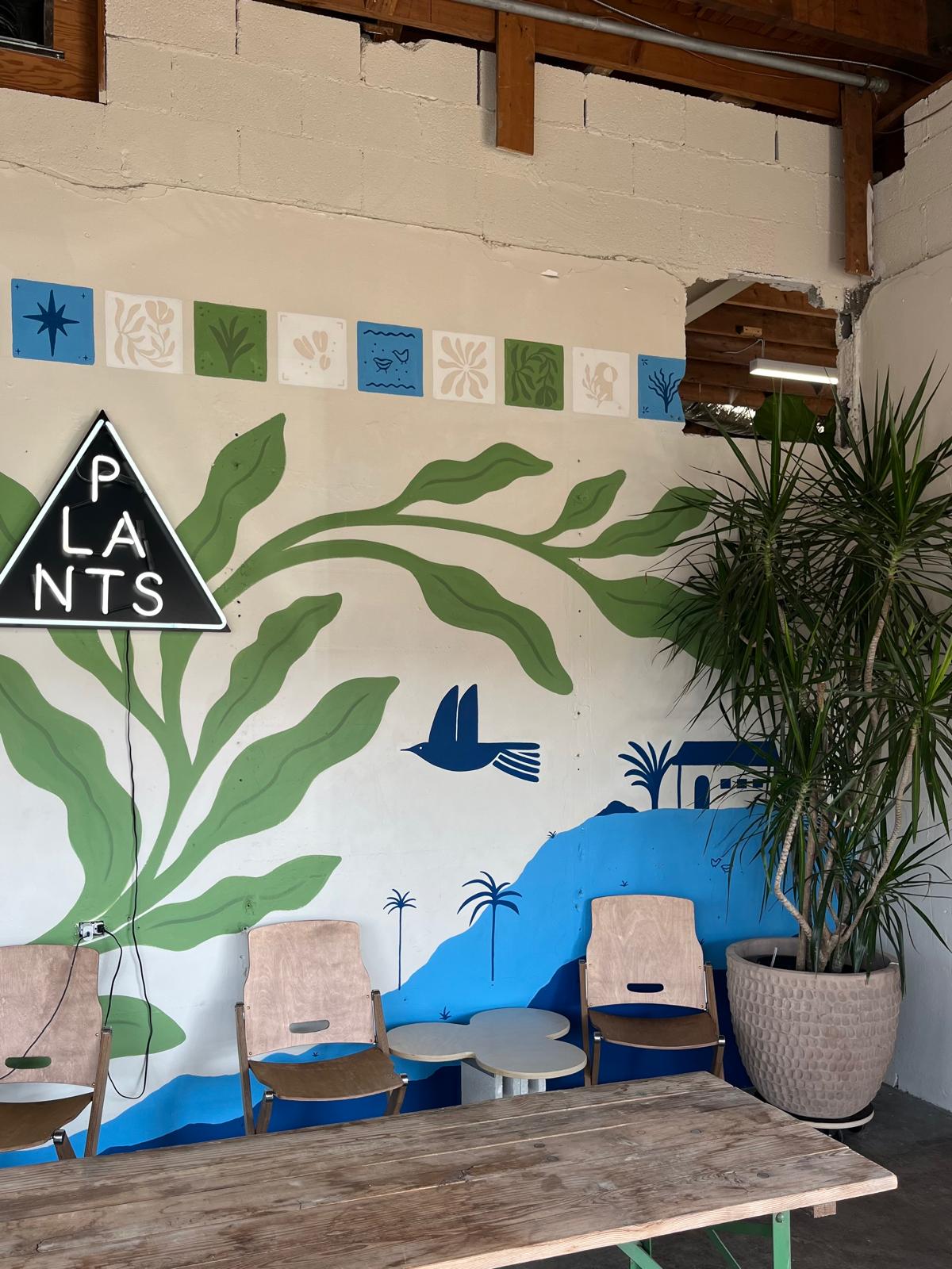 Photo of Desnudo Coffee: South Lamar