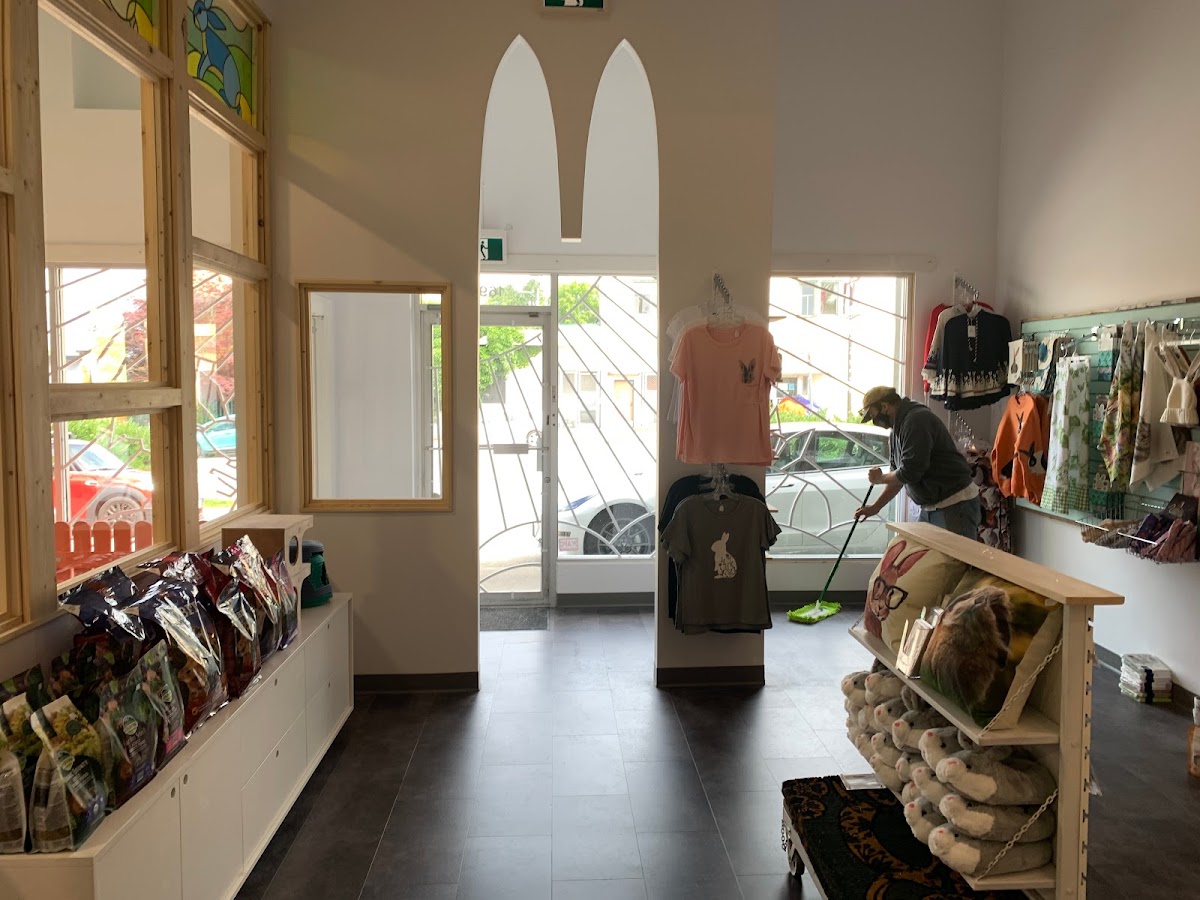 The Bunny Cafe interior