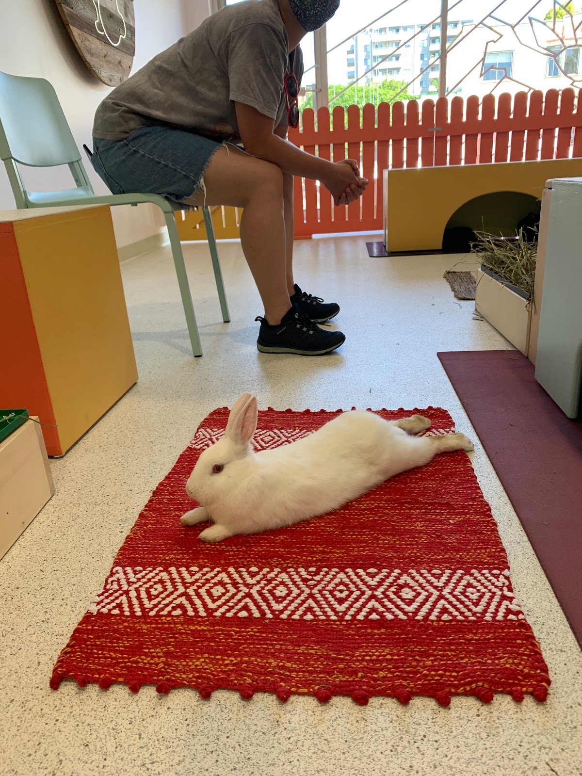 Photo of The Bunny Cafe