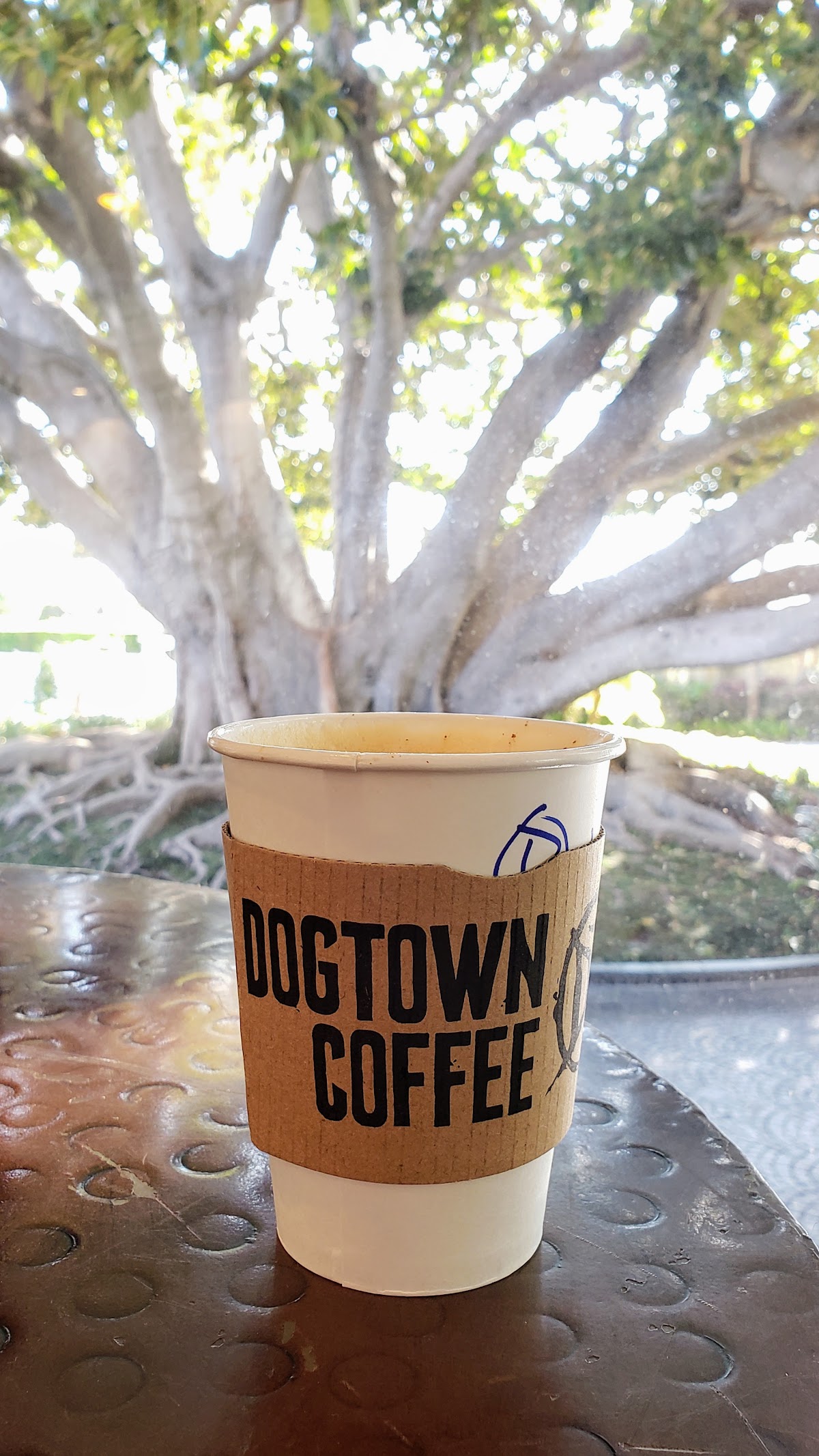 Photo of Dogtown Coffee - North
