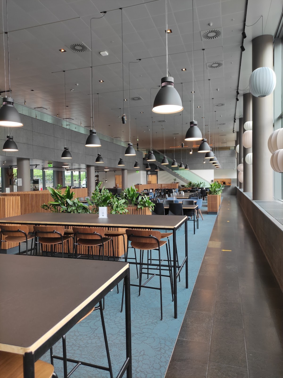 Café Nabo interior