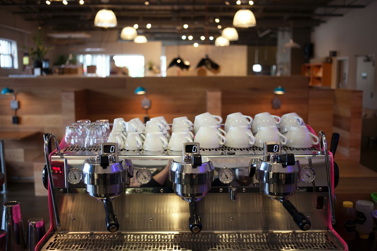 Dogwood Coffee interior