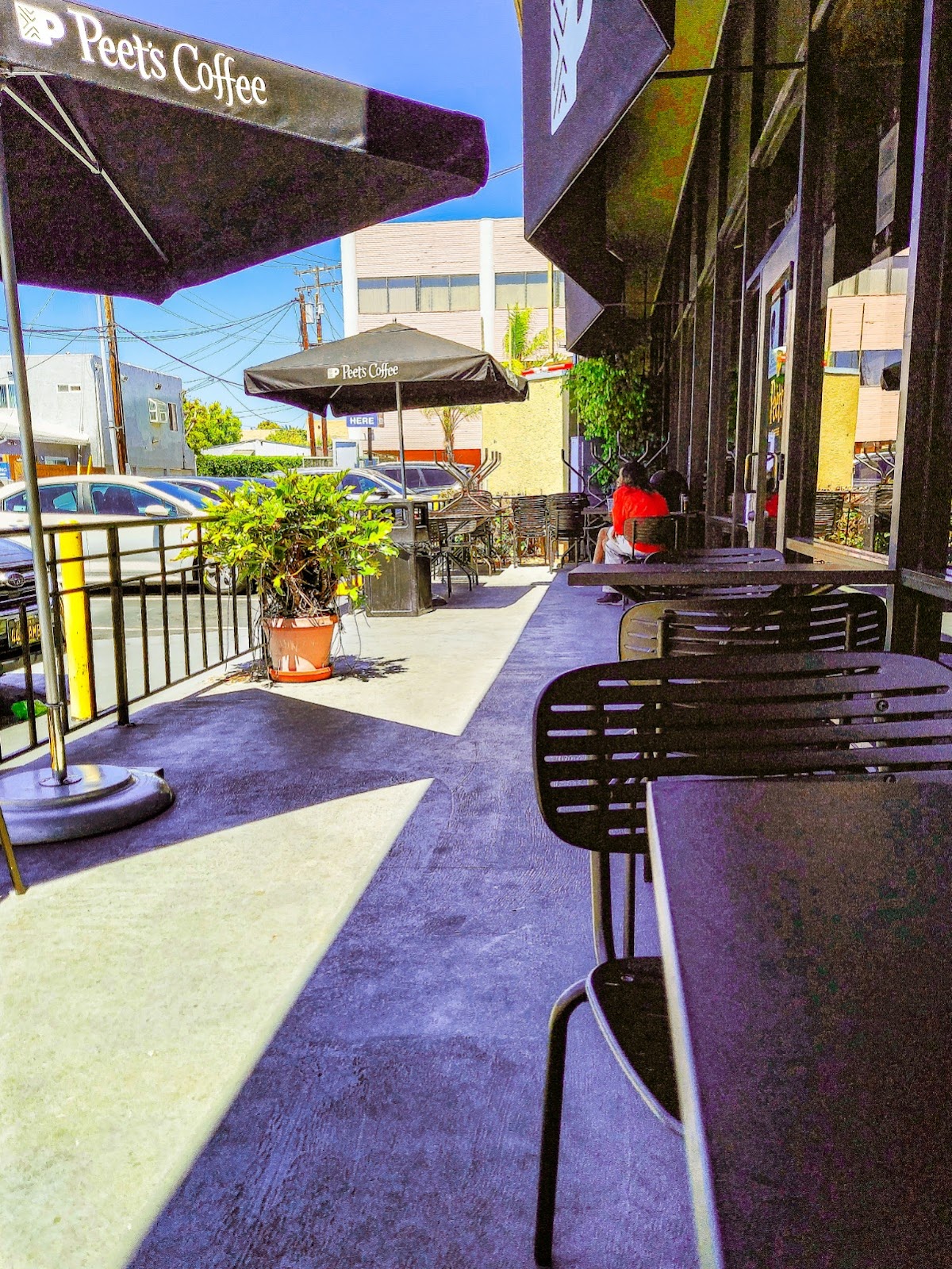 Peet's Coffee interior