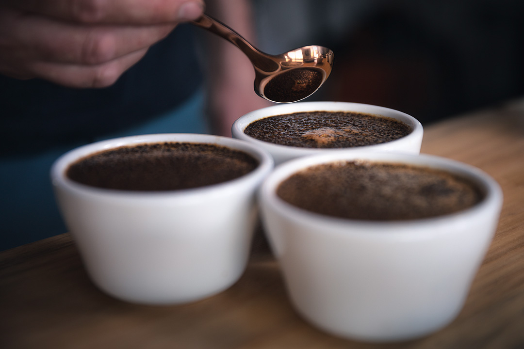 Photo of Borealis Coffee Roastery