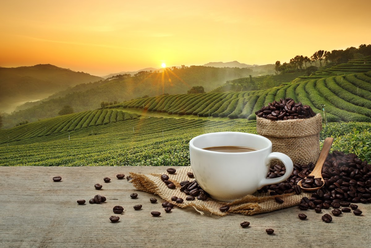 Photo of Café Travessia