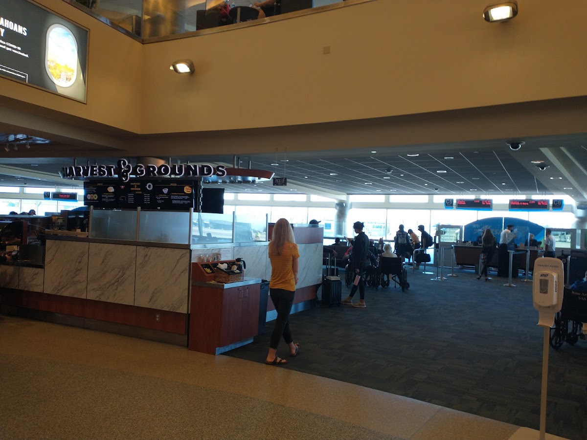 Harvest and Grounds interior