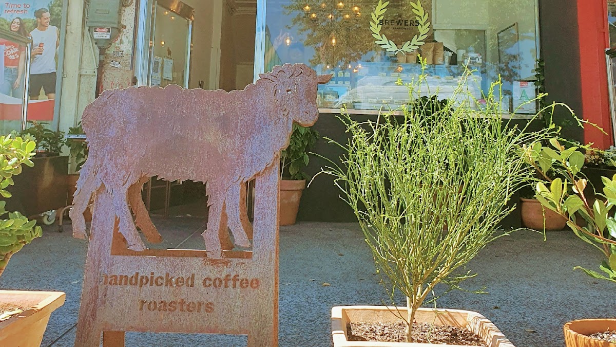 Photo of Handpicked coffee roaster