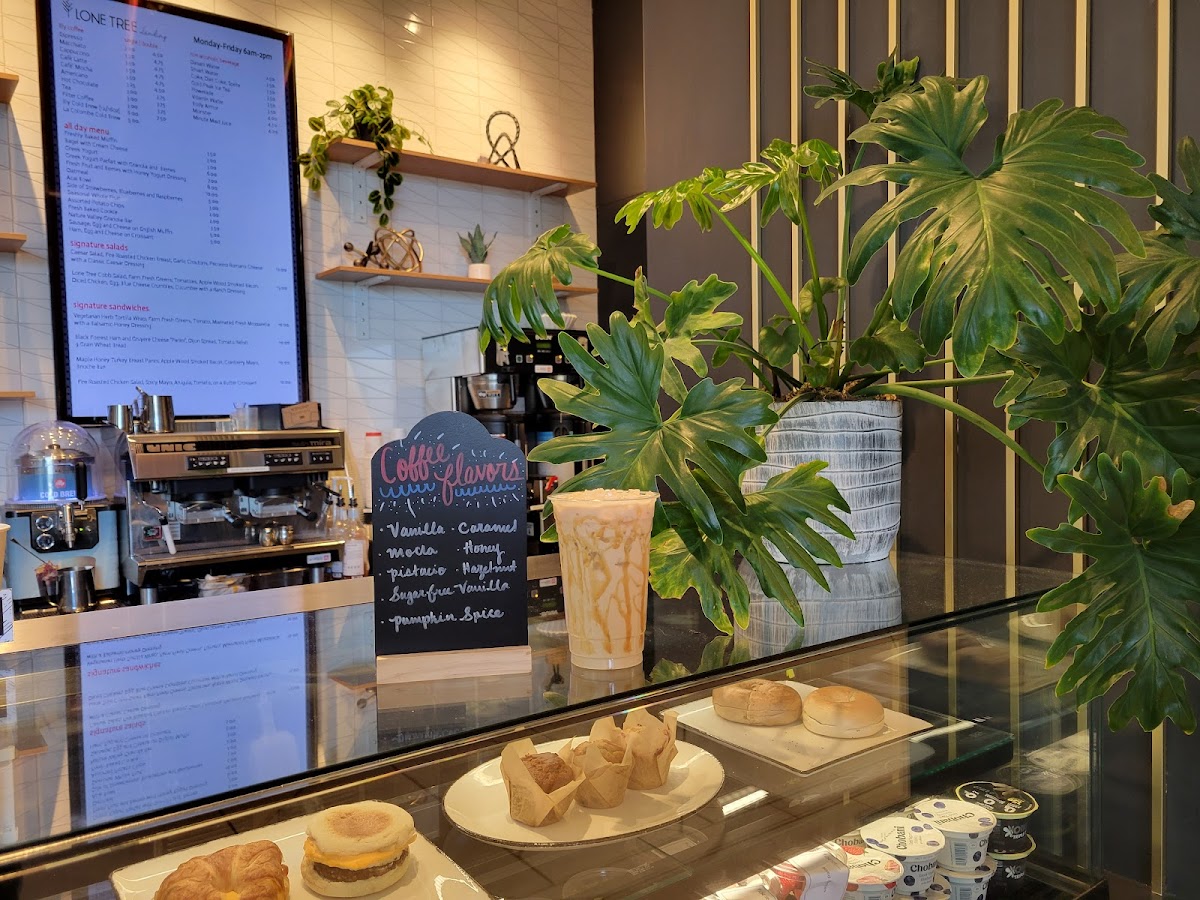 Lone Tree Landing Coffee interior