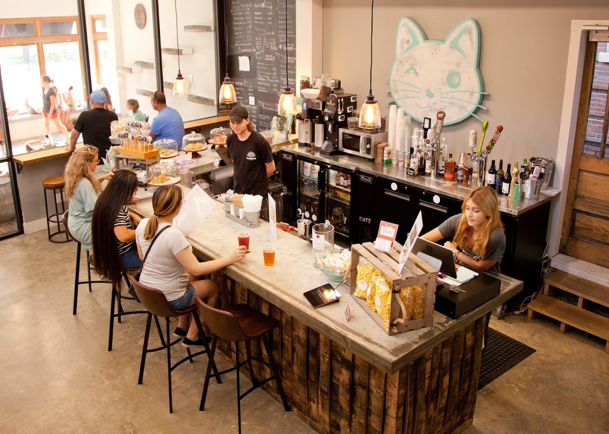Purrfect Day Cat Cafe interior