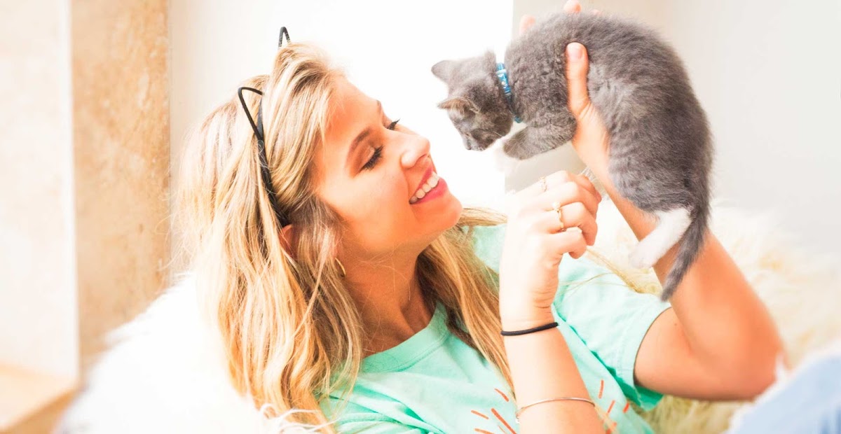 Photo of Purrfect Day Cat Cafe