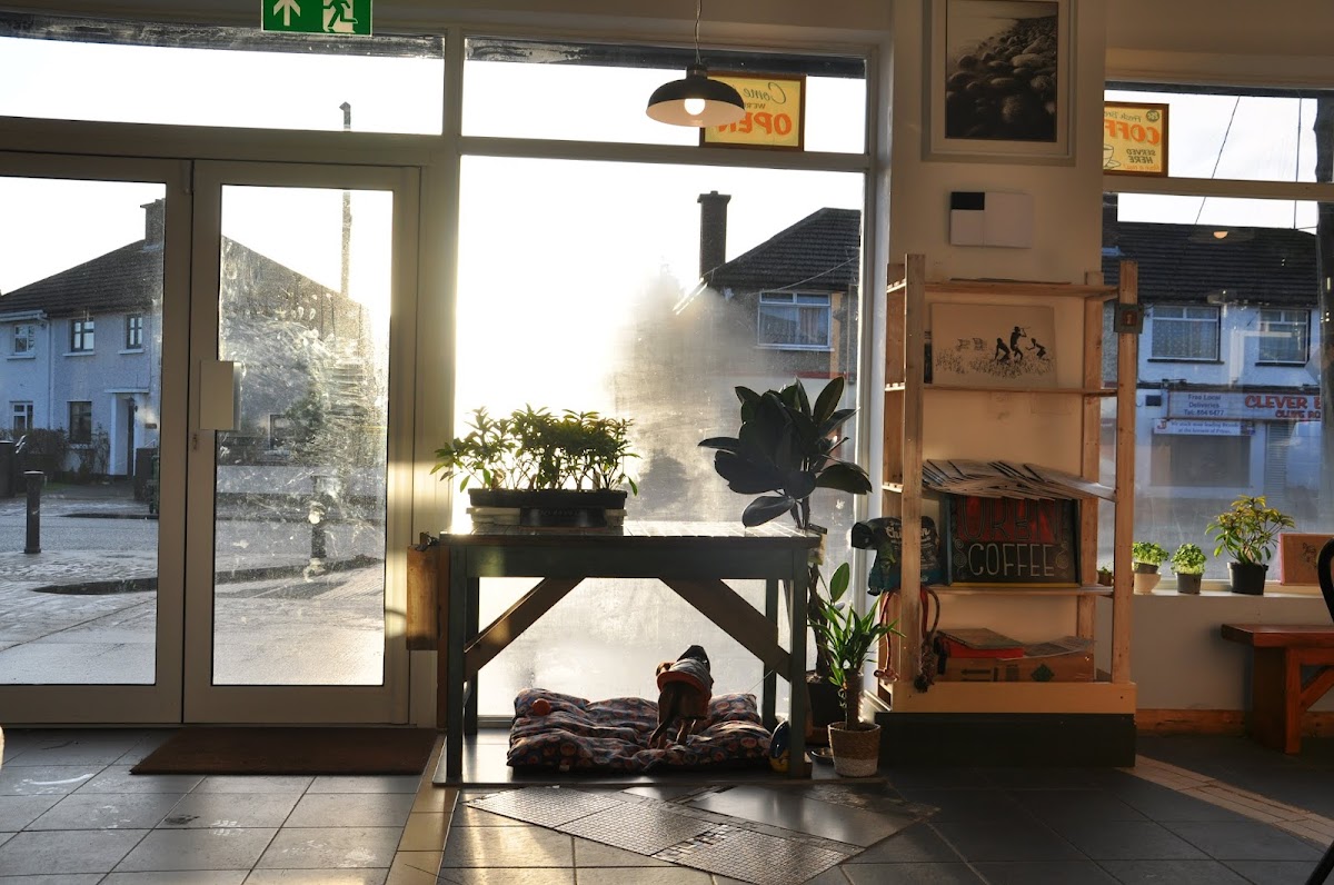 Driftwood Coffee Co. interior