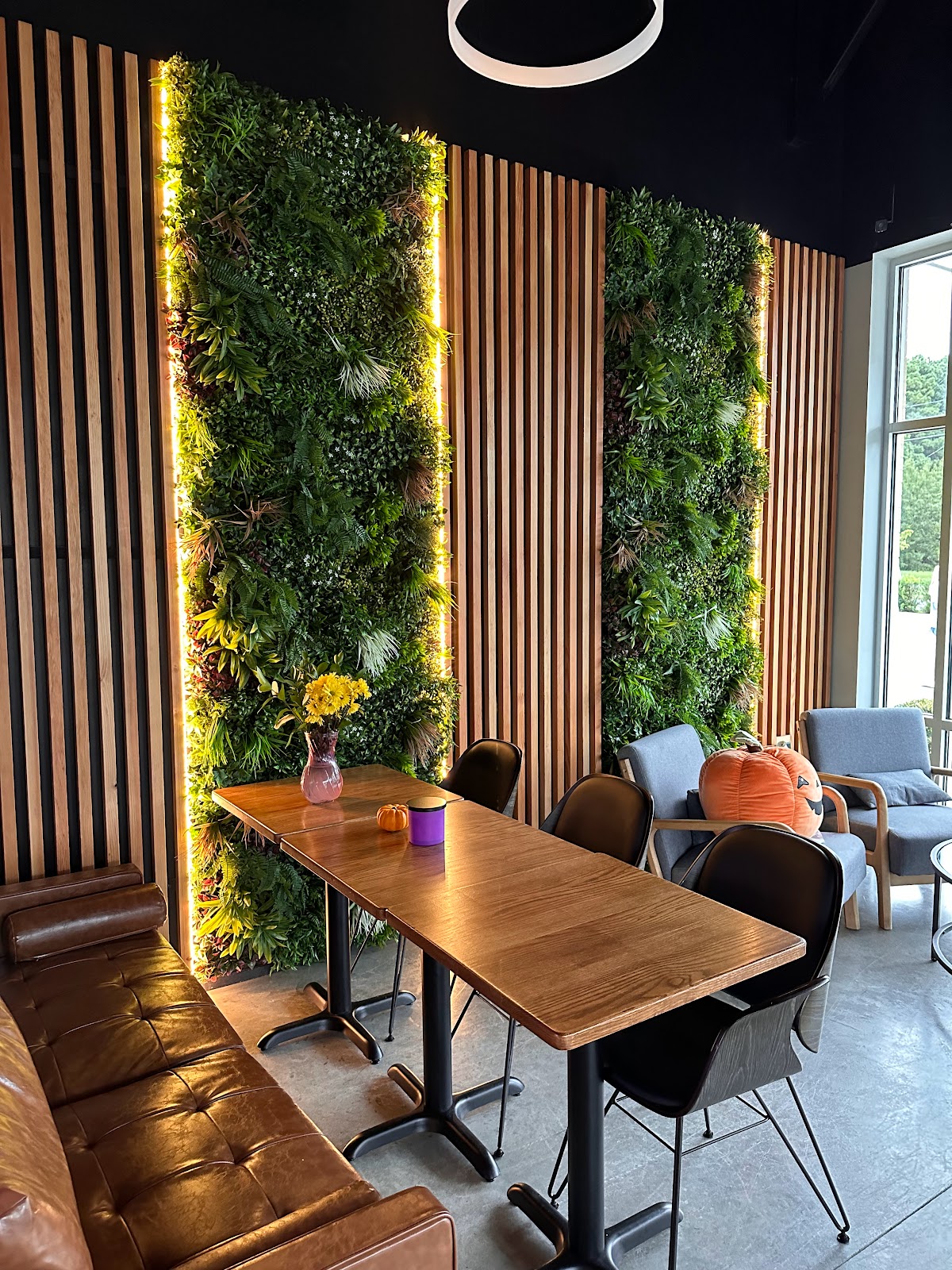 Operation Brew Coffee and Bakery interior