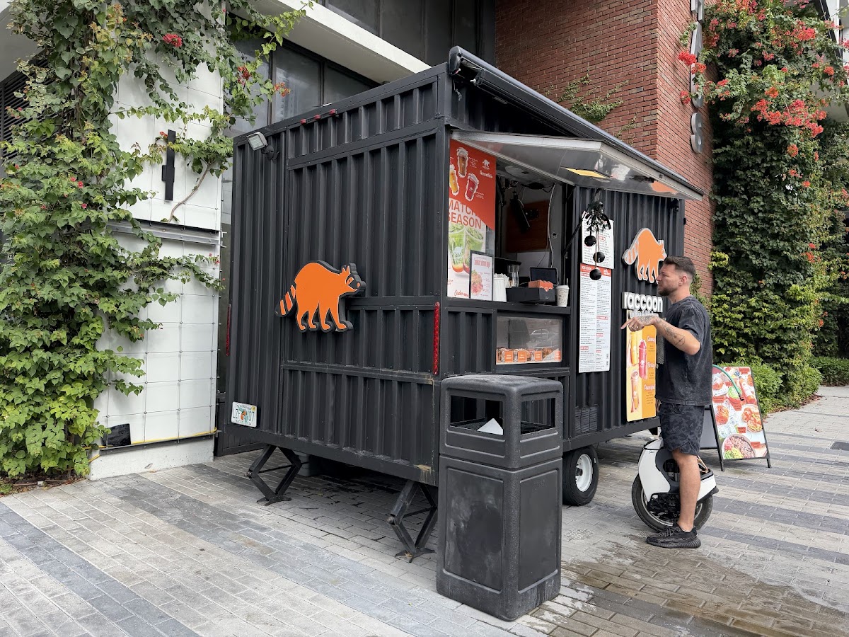 Raccoon coffee & kitchen interior