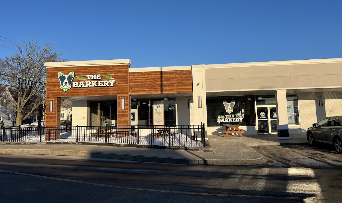 The Barkery Dog Bar interior