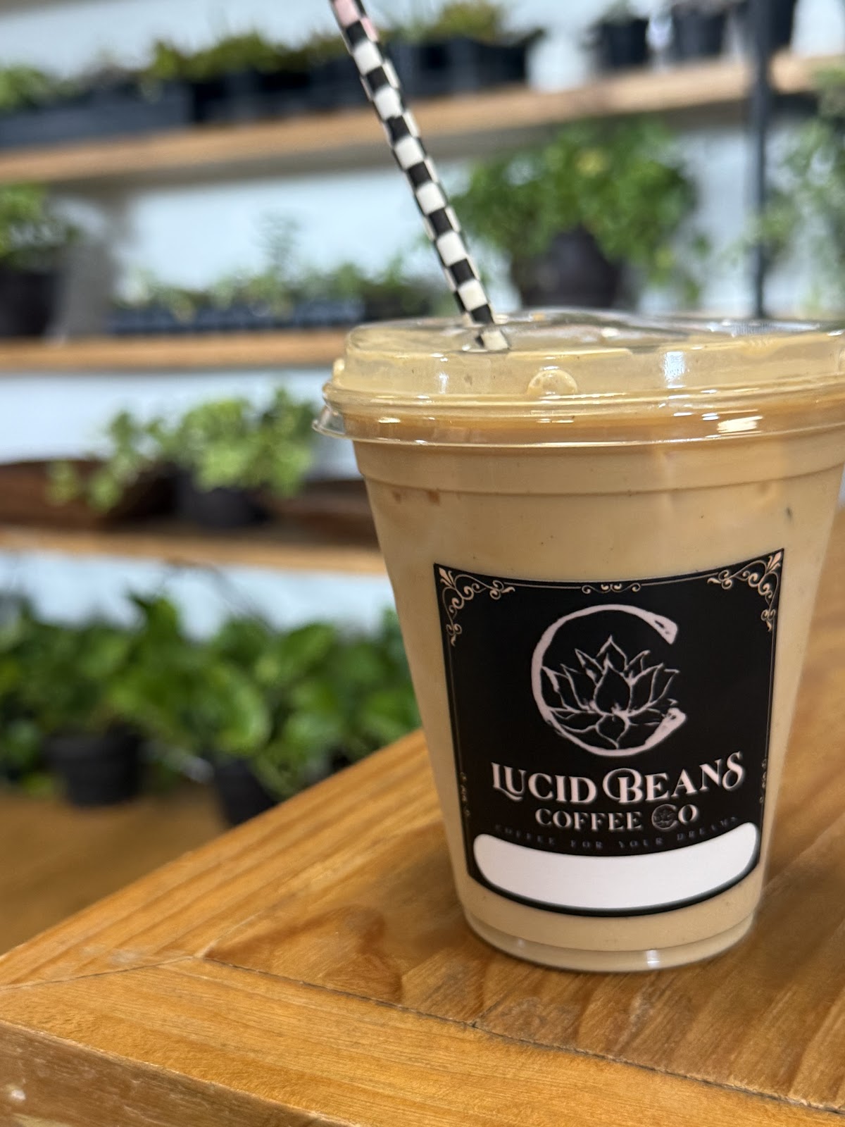 Photo of Lucid Beans Coffee - SODO