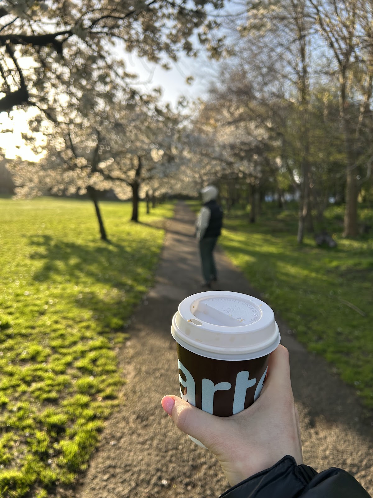 Photo of Carter Coffee