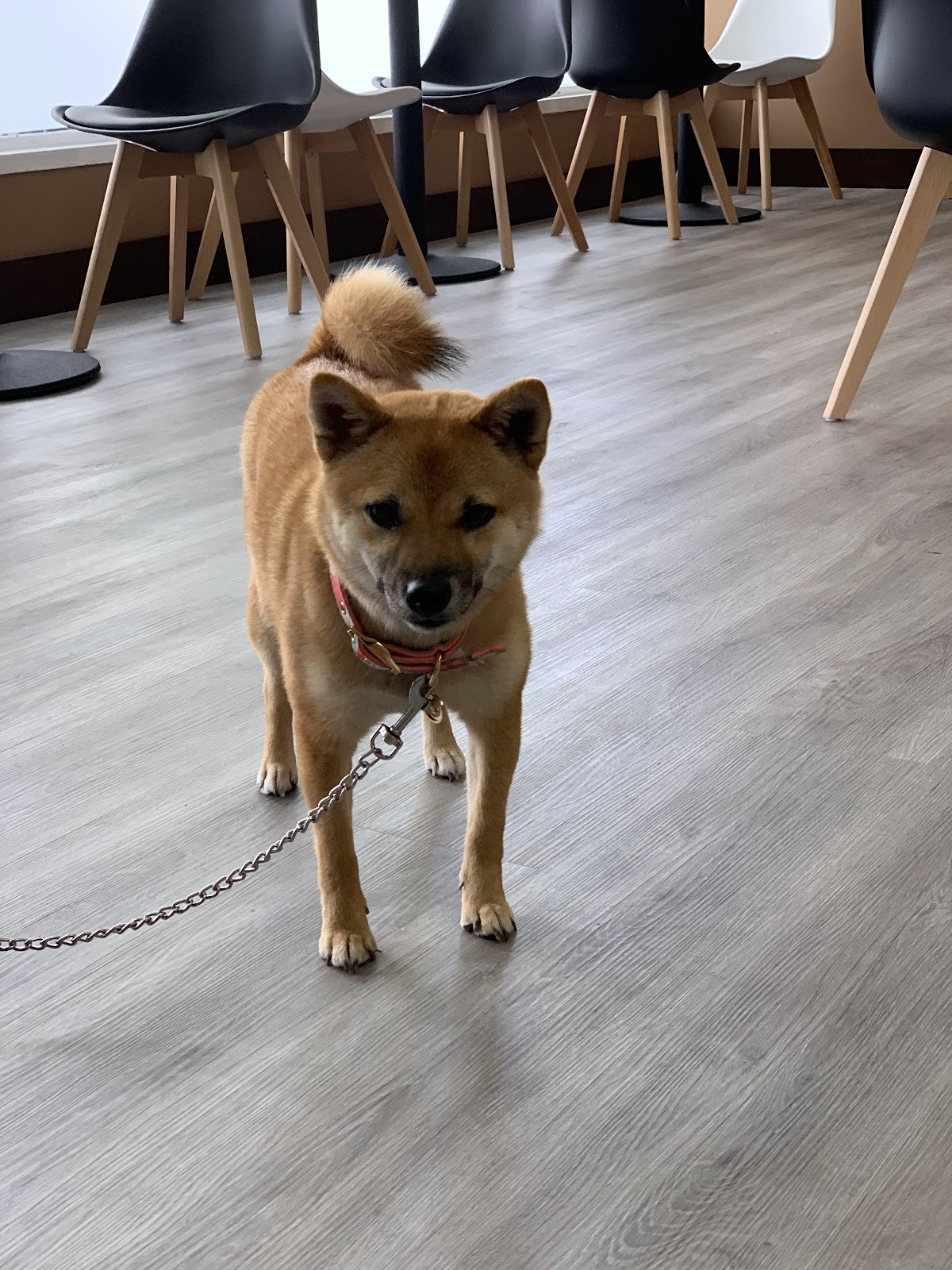 Photo of Nomi Tea
