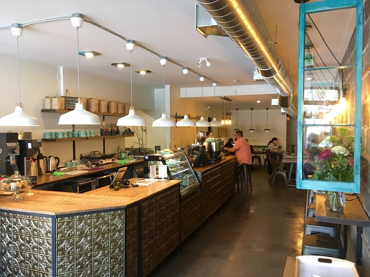 N Latte interior