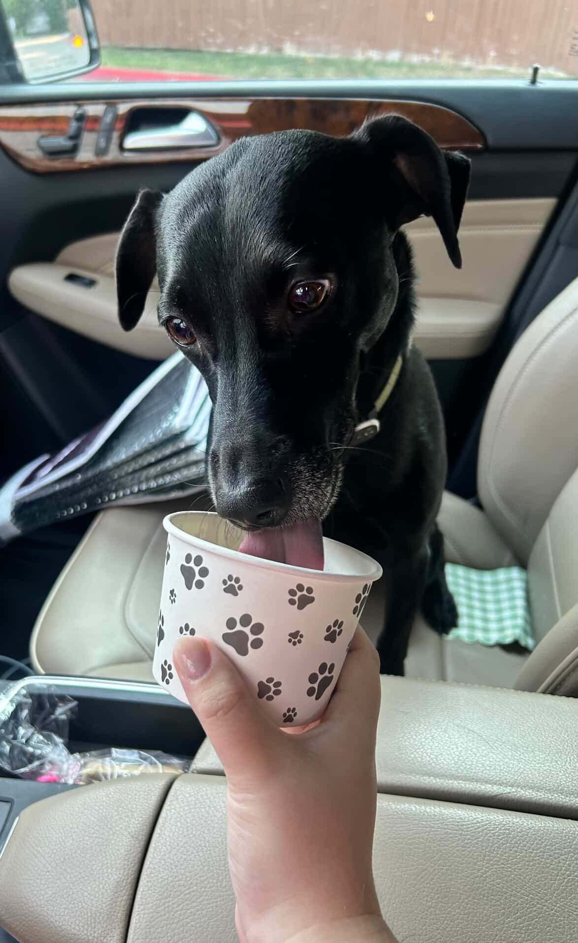 Photo of Pit Coffee