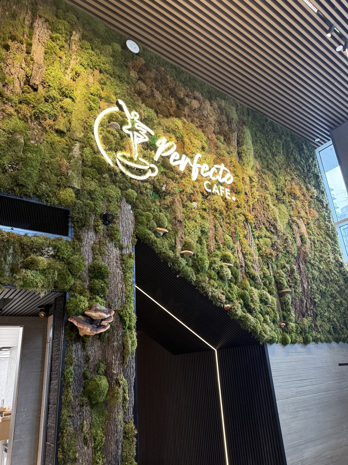 Perfecto Cafe, Bakery & Gelato (Shipyards) interior