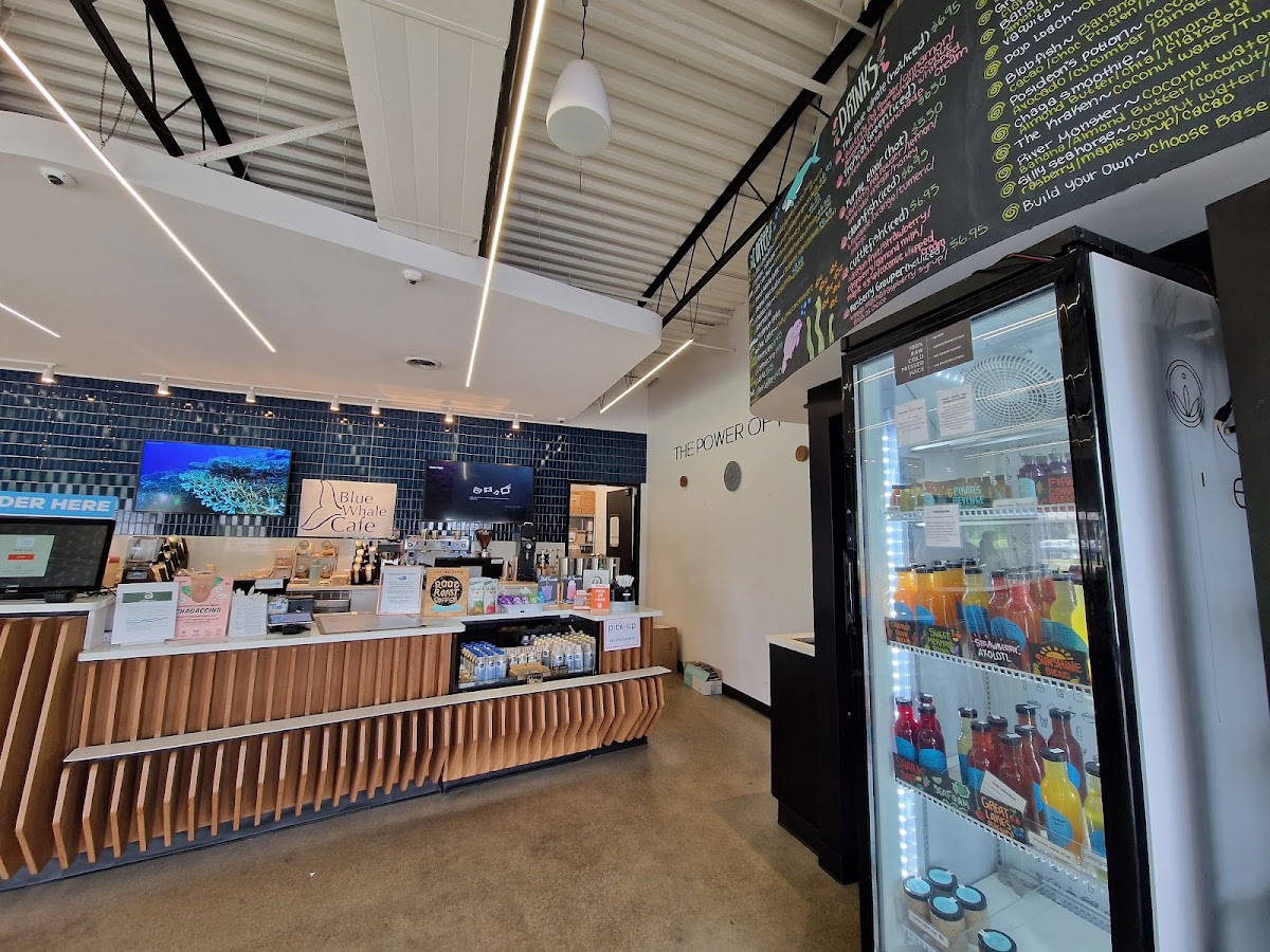 Blue Whale Cafe interior