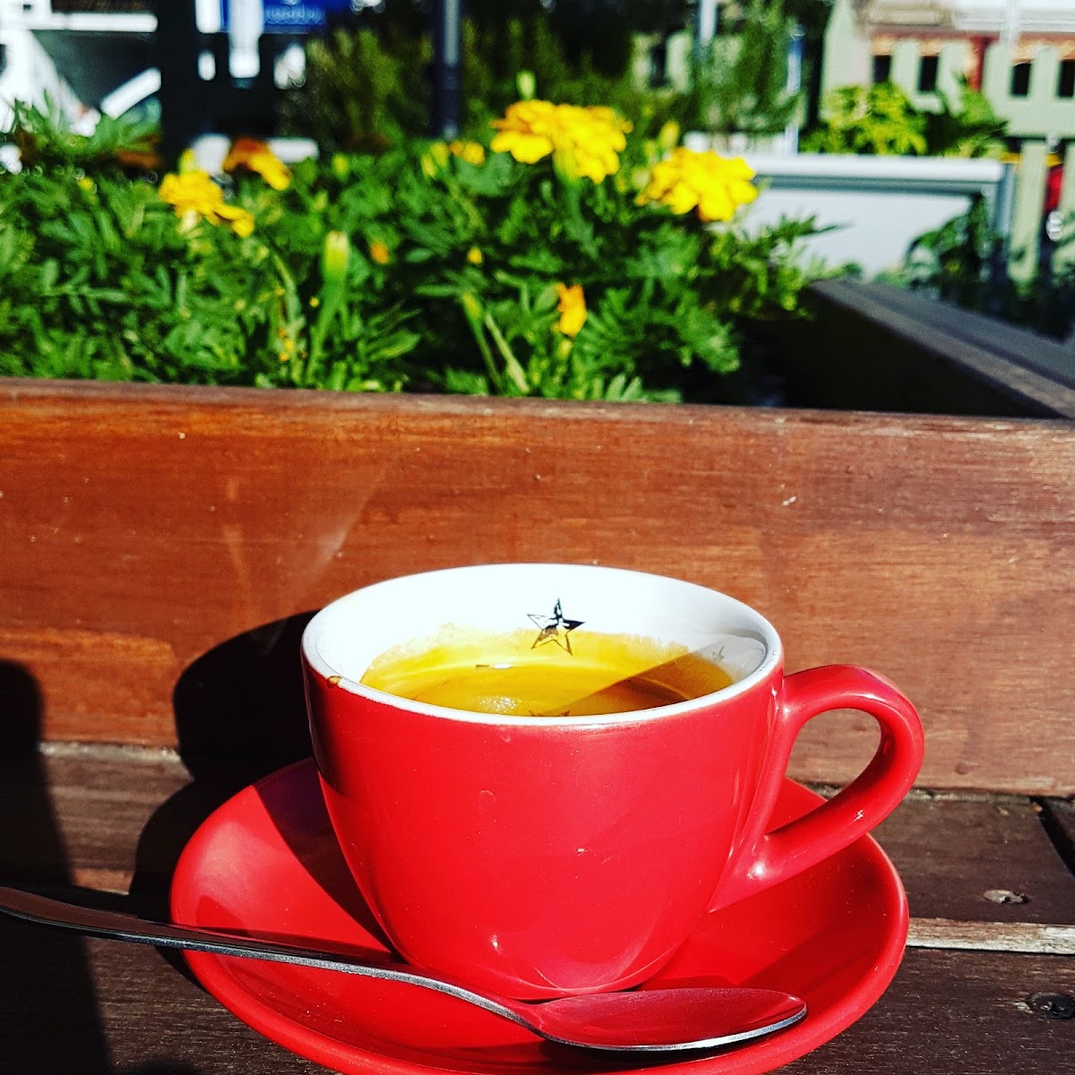 Photo of The Sustainable Coffee Company