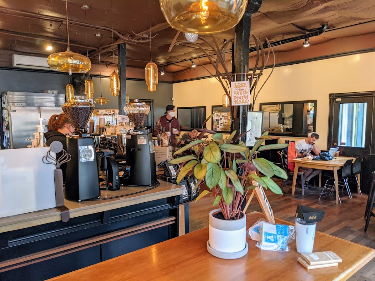 Caffe Vita interior