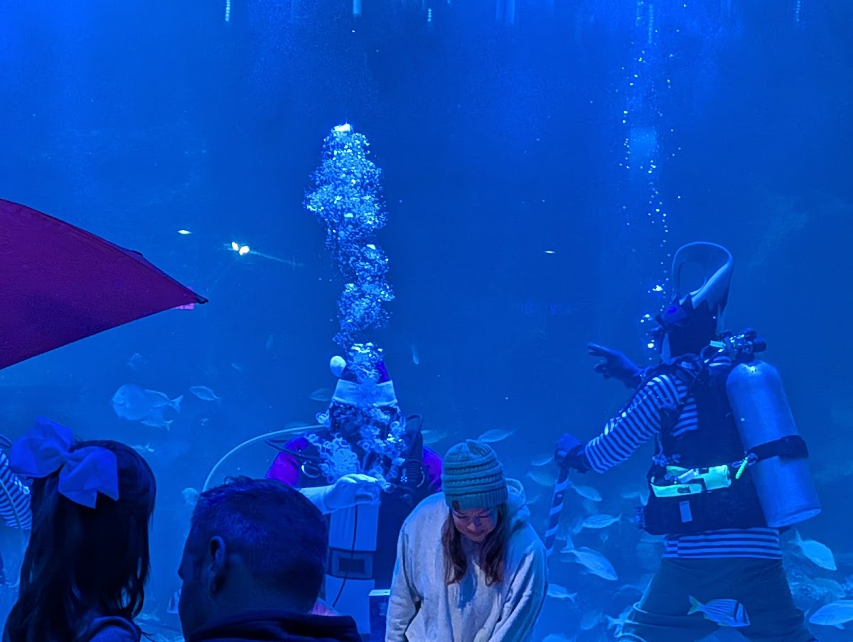 Photo of Sharky’s Cafe