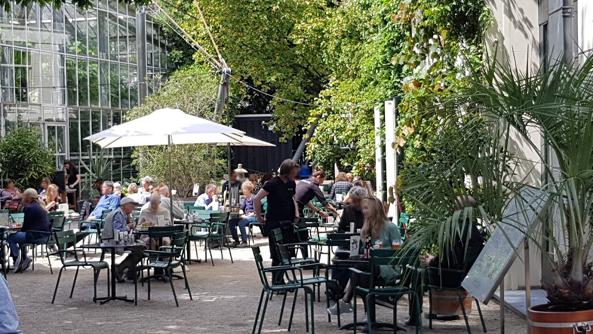 Hortus café interior