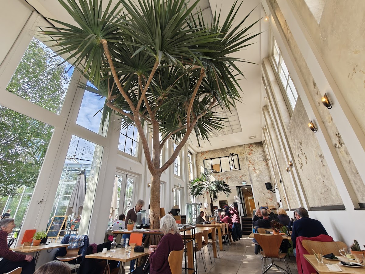 Photo of Hortus café