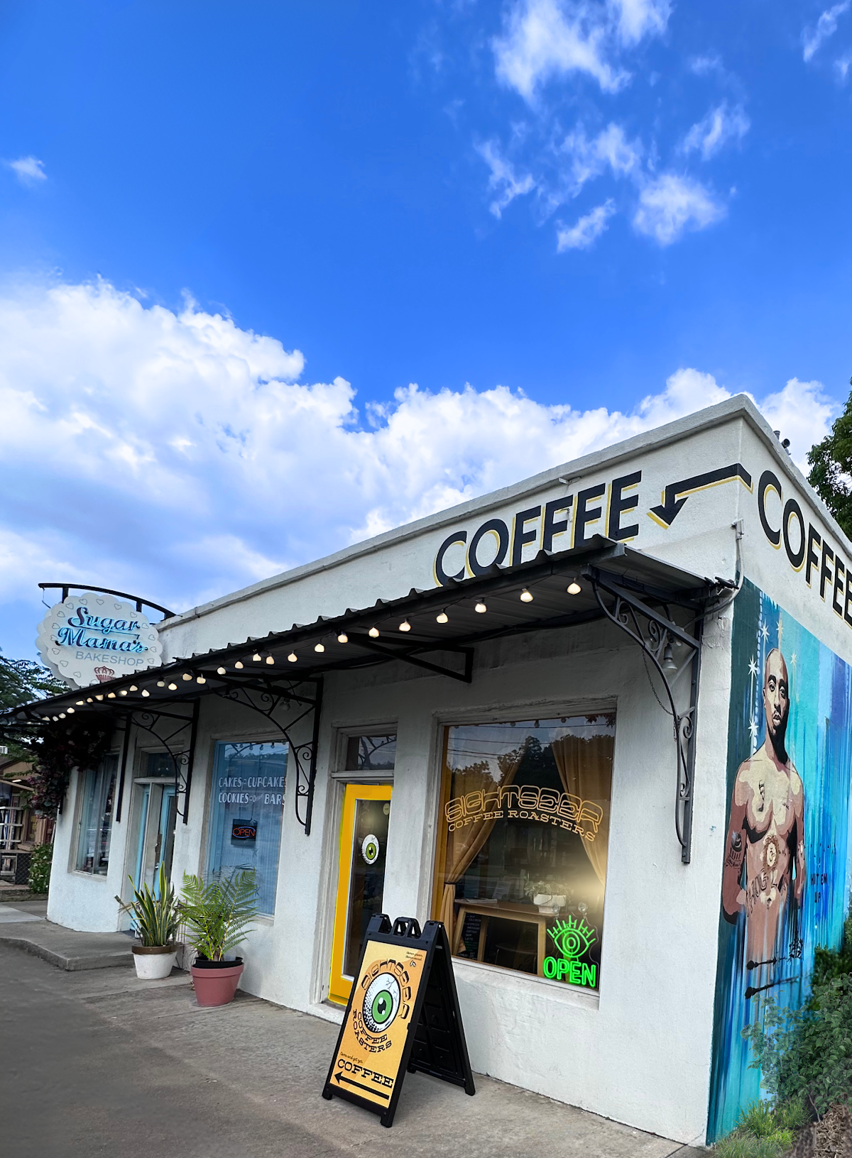 Sightseer Coffee Bar interior