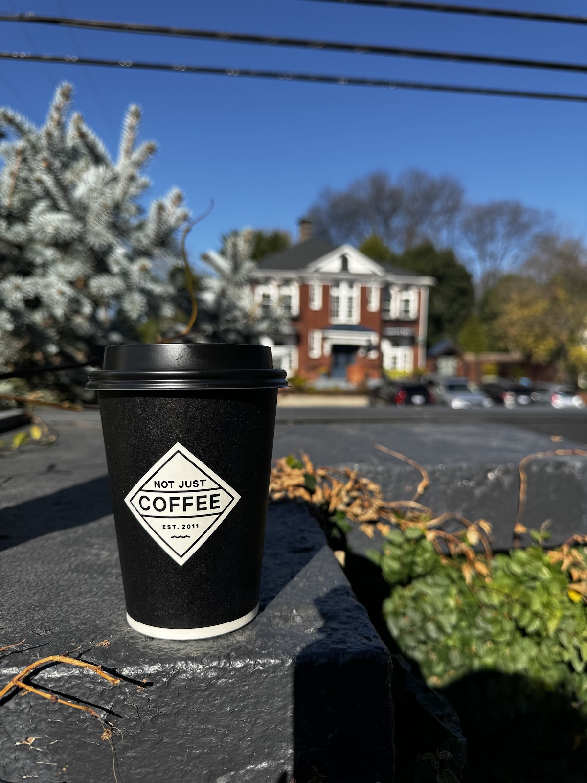Photo of Not Just Coffee