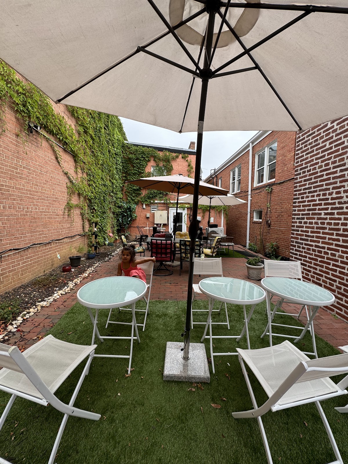 Zen Press Cafe & Juice Bar interior