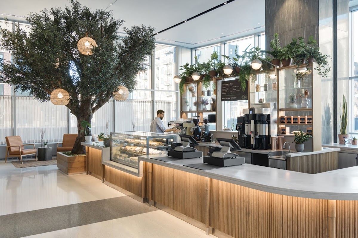 Photo of Socca Cafe