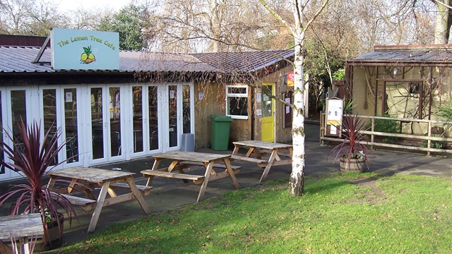 Lemon Tree Cafe interior