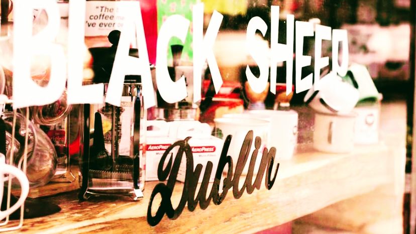 Photo of Black Sheep