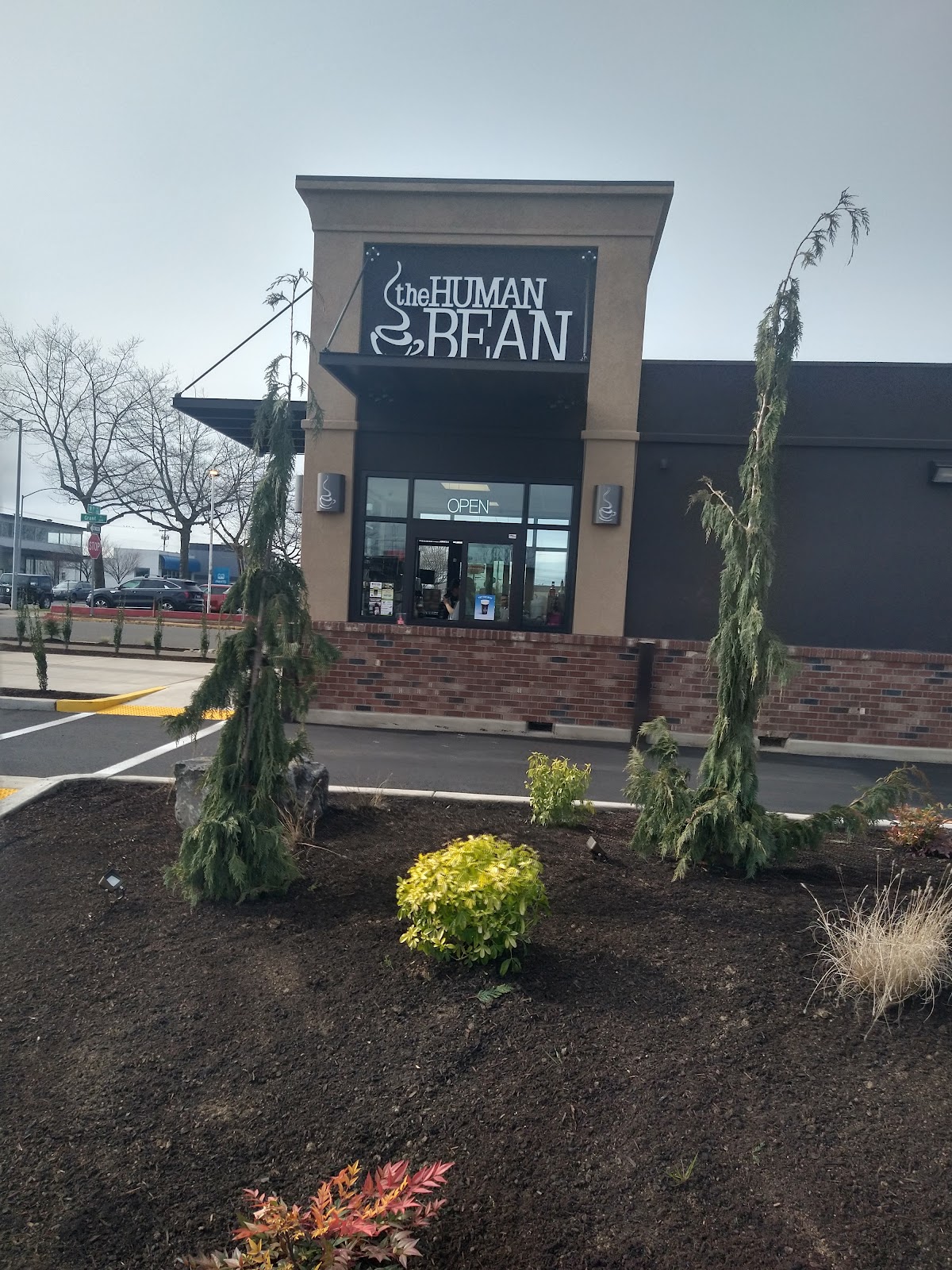 The Human Bean interior